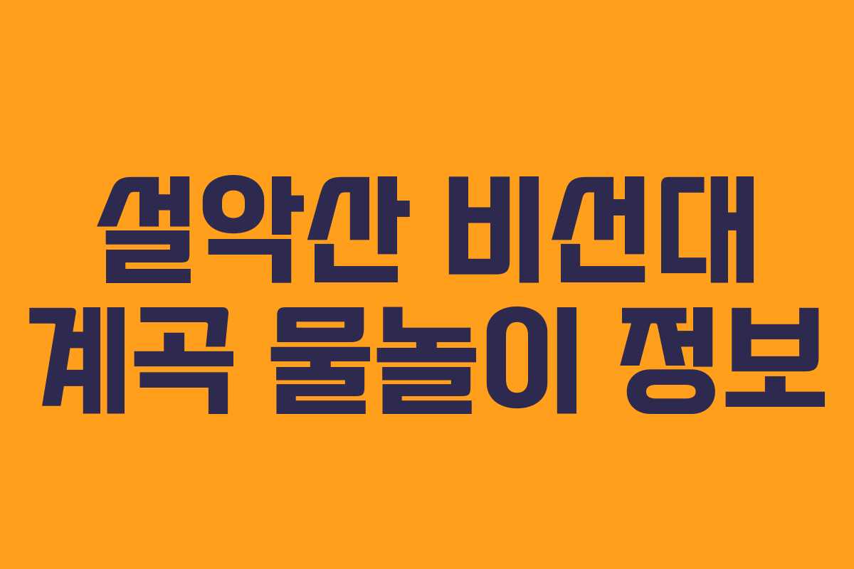 설악산-비선대-계곡-물놀이-정보