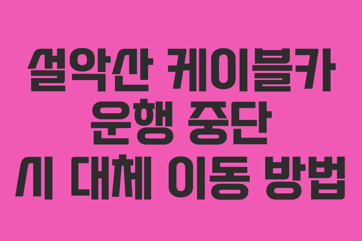 설악산-케이블카-운행-중단-시-대체-이동-방법