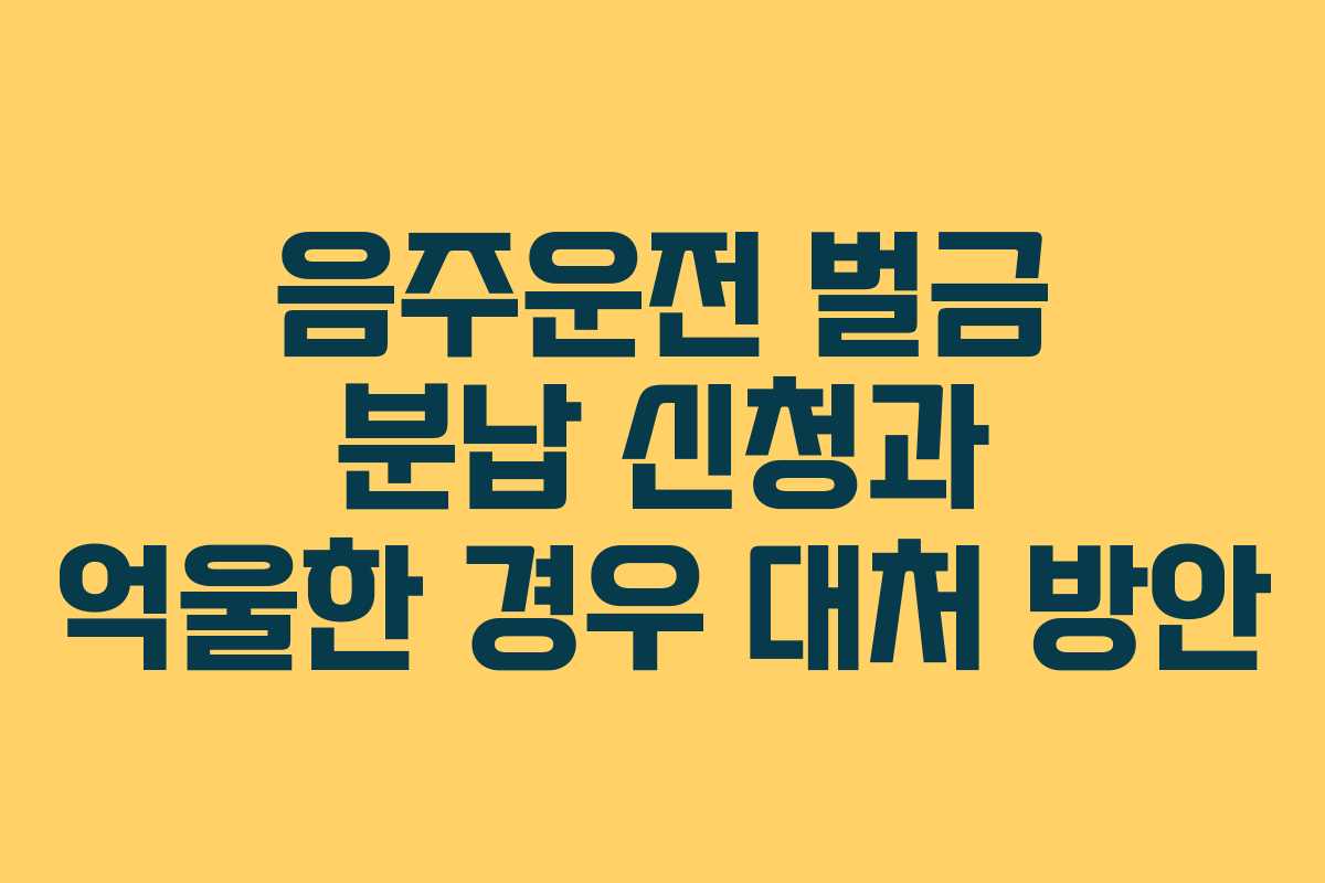음주운전-벌금-분납-신청과-억울한-경우-대처-방안