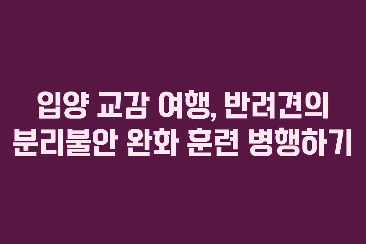 입양-교감-여행,-반려견의-분리불안-완화-훈련-병행하기