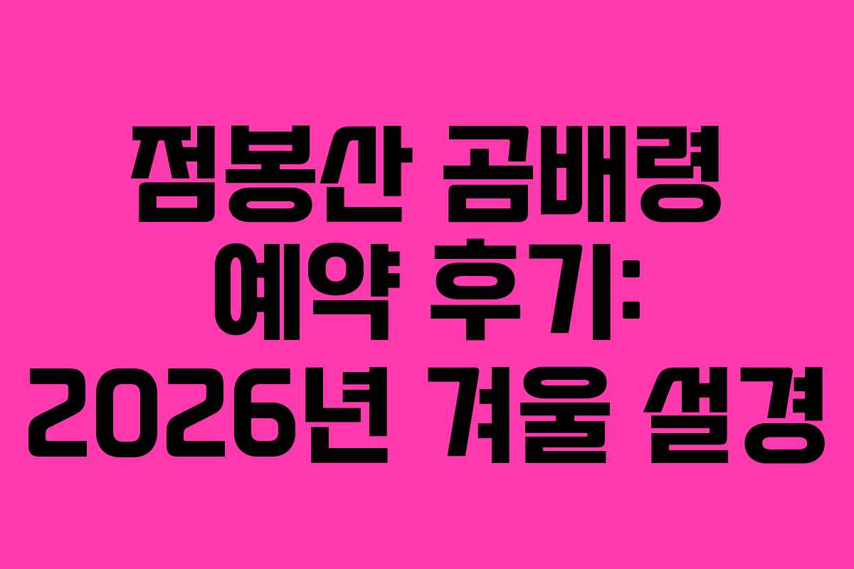 점봉산-곰배령-예약-후기-2026년-겨울-설경