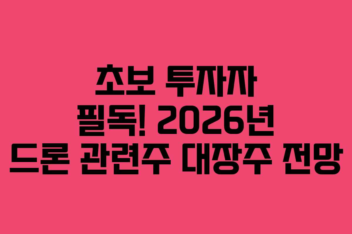 초보-투자자-필독!-2026년-드론-관련주-대장주-전망