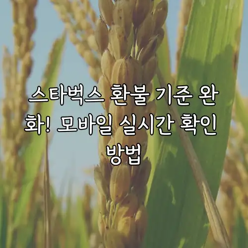 스타벅스 환불 기준 완화! 모바일 실시간 확인 방법