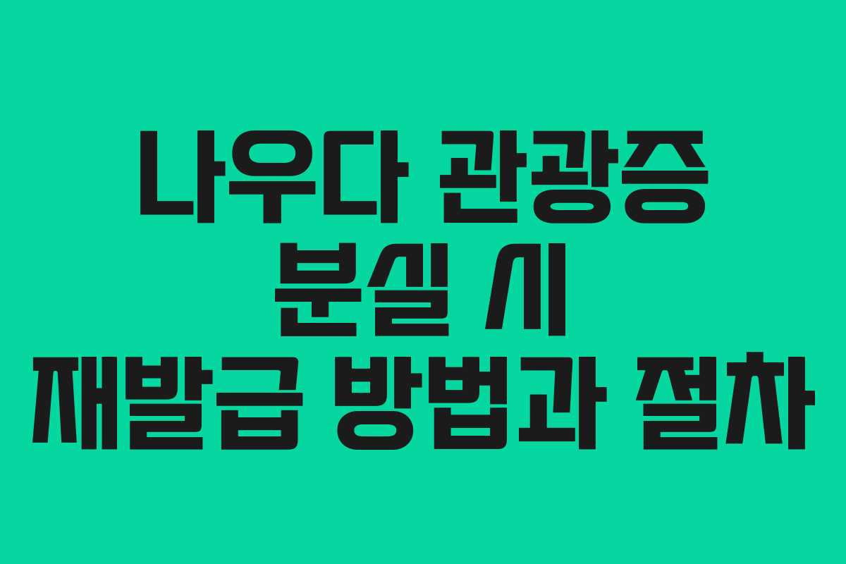 나우다-관광증-분실-시-재발급-방법과-절차