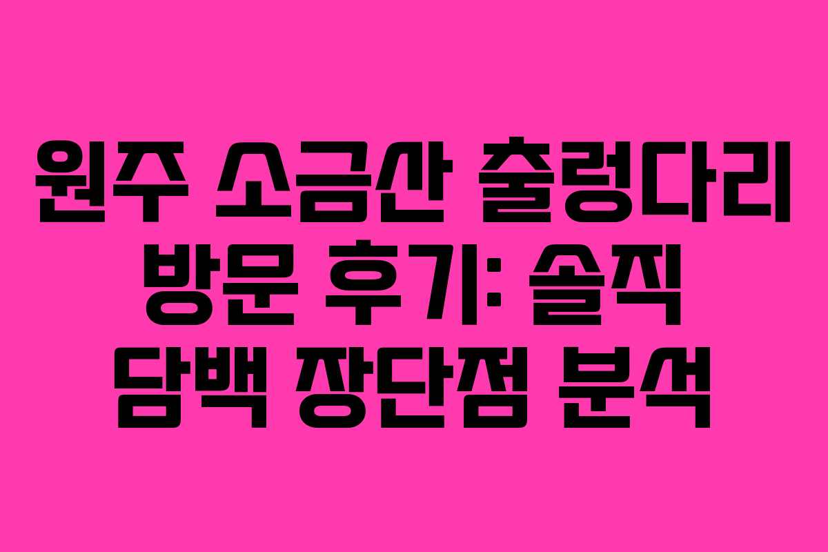 원주-소금산-출렁다리-방문-후기-솔직-담백-장단점-분석