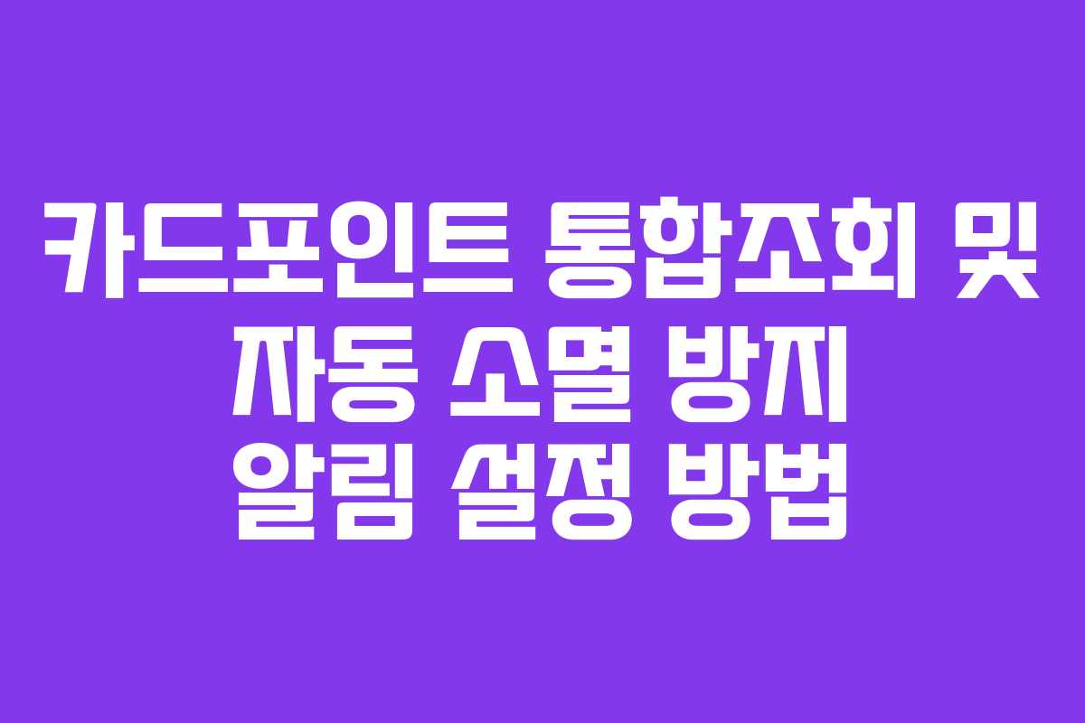 카드포인트-통합조회-및-자동-소멸-방지-알림-설정-방법