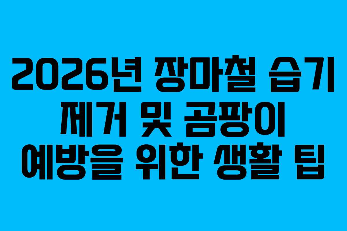 2026년-장마철-습기-제거-및-곰팡이-예방을-위한-생활-팁