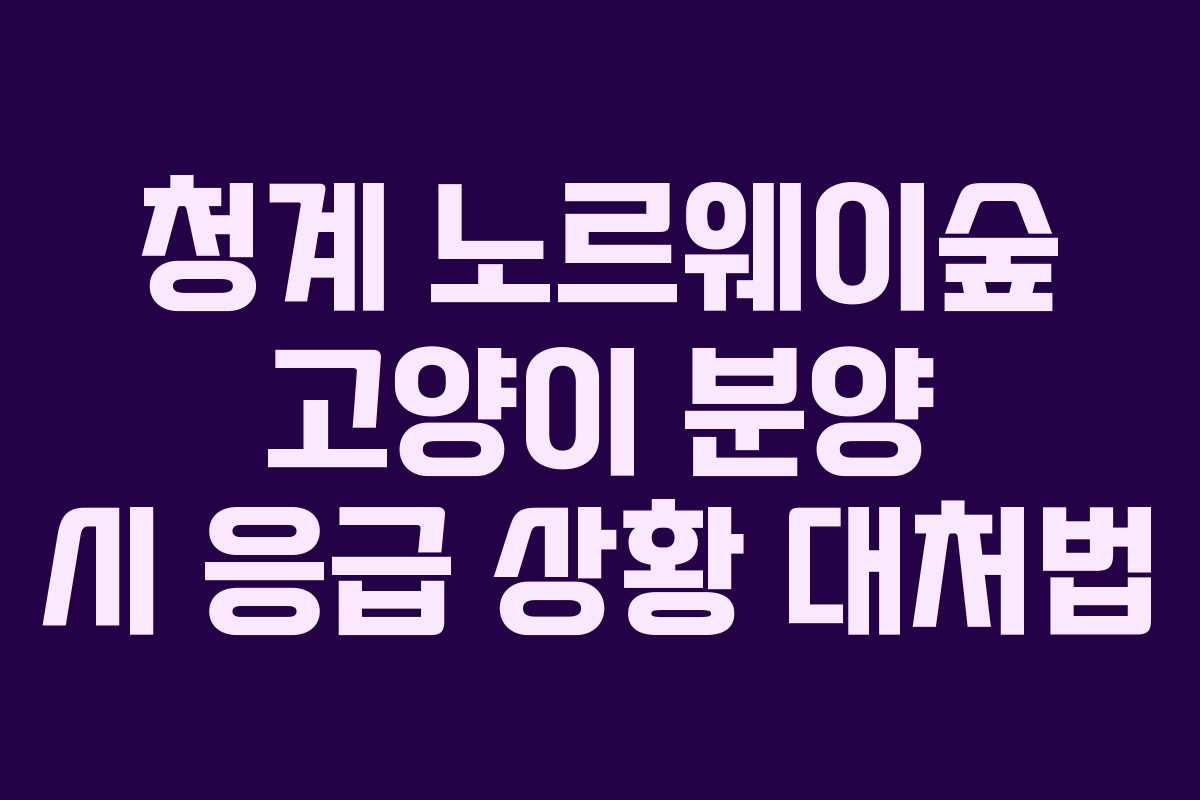 청계-노르웨이숲-고양이-분양-시-응급-상황-대처법