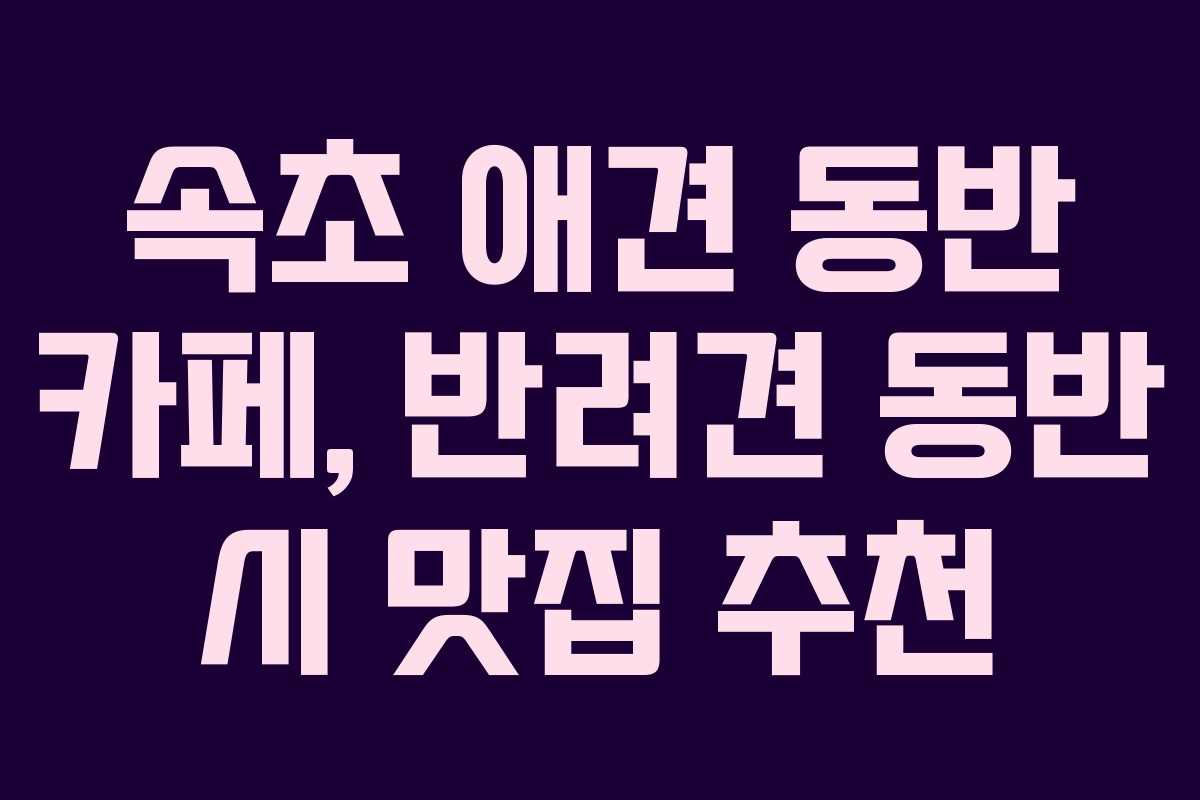 속초-애견-동반-카페,-반려견-동반-시-맛집-추천