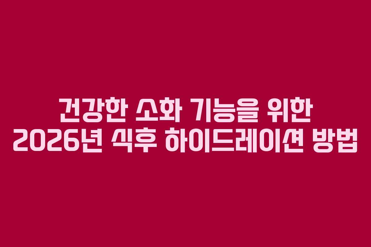 건강한-소화-기능을-위한-2026년-식후-하이드레이션-방법